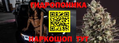 стаф Малгобек