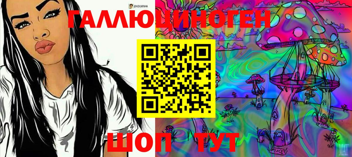 Галлюциногенные грибы Psilocybine cubensis Великий Устюг