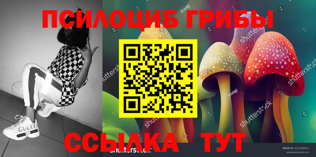Псилоцибиновые грибы Magic Shrooms  Вход с VPN  Великий Устюг 